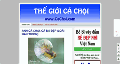 Desktop Screenshot of cachoi.com