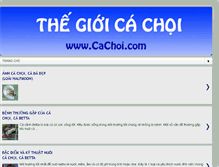 Tablet Screenshot of cachoi.com